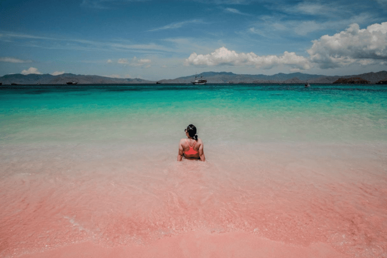 L'île de Komodo : 3D2N Excursion privée en bateau rapide, visite terrestre et hôtel