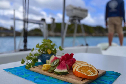 Fajardo : croisière en catamaran l'après-midi