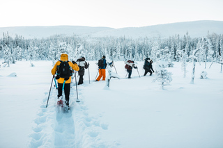 Fulufjället National Park - Guided Hike with outdoor cocking
