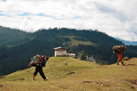 Thimphu: Day Trip -Jele Dzong Motorbike Tour