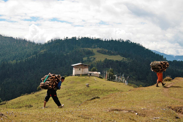 Thimphu: Day Trip -Jele Dzong Motorbike Tour