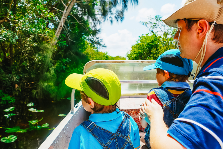 Miami: Hop-on-hop-off-bustour per open-top bus2-daags ticket, baaicruise en Everglades-ervaring