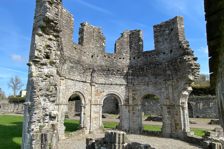 من دبلن: رحلة ليوم واحد إلى نيوجرانج ووادي بويندبلن: رحلة ليوم واحد إلى نيوغرانغ ووادي بوين