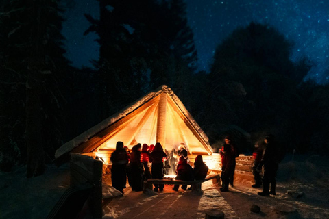 Northern Lights Tour Sleigh Ride