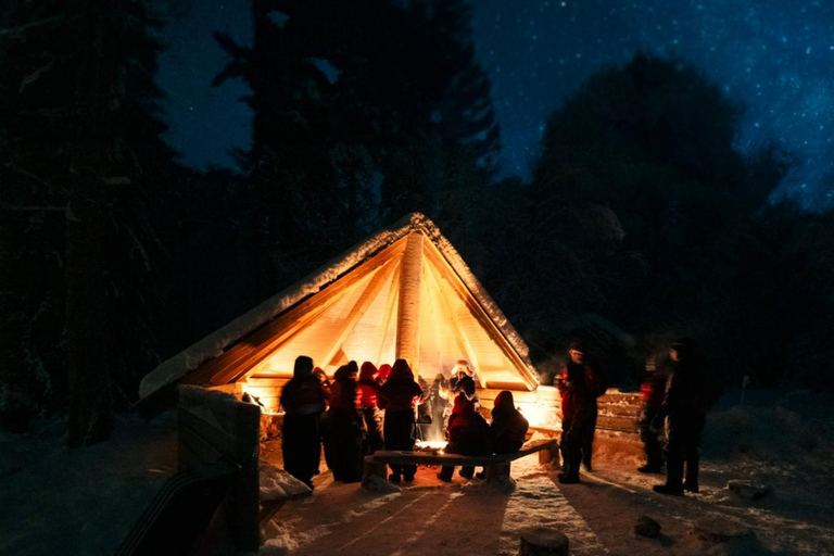 Northern Lights Tour Sleigh Ride