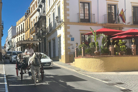 ab Mijas: Privétour Ronda en Setenil de las Bodegas