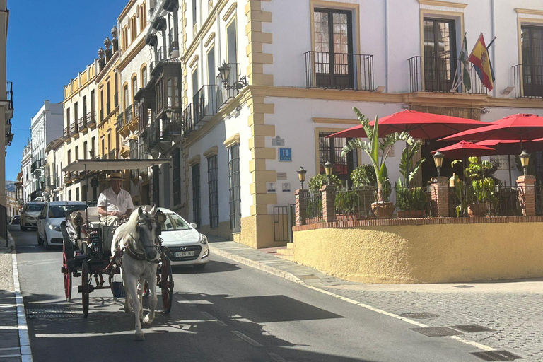 ab Mijas : Visite privée Ronda et Setenil de las Bodegas