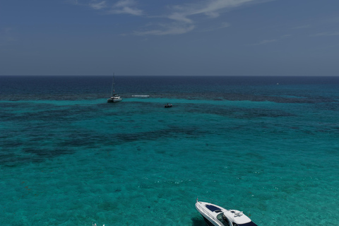 Grand Cayman: Catamaran Cruise with Stingray City & Snorkel