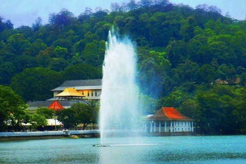 Kandy: Visita a la ciudad con todo incluido