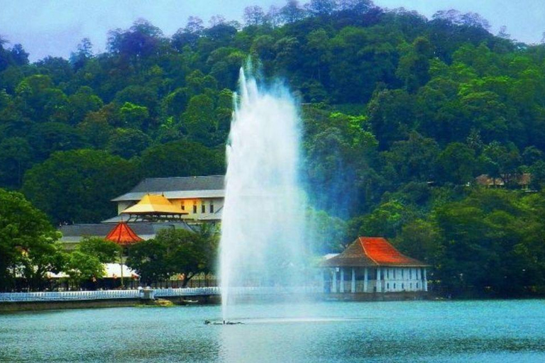 Kandy: Visita a la ciudad con todo incluido