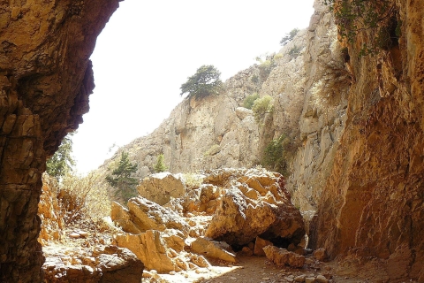 Desde Rethymno / Chania: Caminata por el desfiladero de ImbrosTour desde el área de Chania