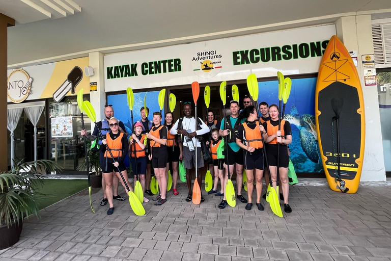 Tenerife: Turtle Bay - Kayak Rental with Drink and Equipment