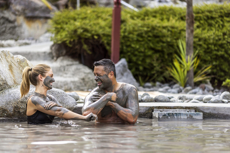 Tauranga: Hells Gate Geothermal Valley & Mud Spa Experience