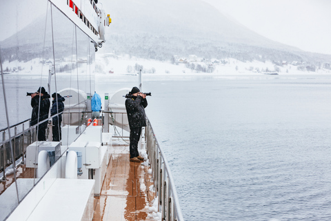 Tromsø: boottocht in fjord met hybride-elektrische catamaranTromsø: boottocht in fjord met elektrische catamaran