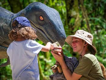 Порто-Кристо: комбинированный билет в Dinosaurland и пещеры Амс