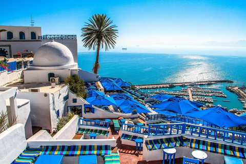 Tunis: Medina, Karthagos amfiteater och Sidi Bou Said Tour