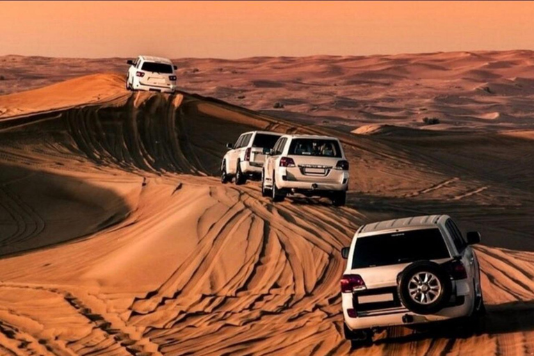 Qatar Desert Safari: Dunes, Camels Sandboarding & Inland Sea Shared Tour From Meeting Point