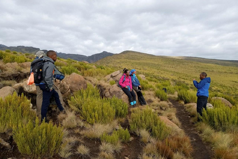 Da Nairobi: Escursione al Parco Nazionale del Monte Kenya con pranzo