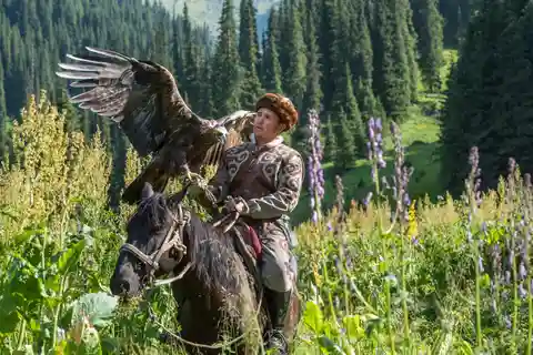 Almaty: Tour del Grande Lago di Almaty e dello spettacolo di falconeria