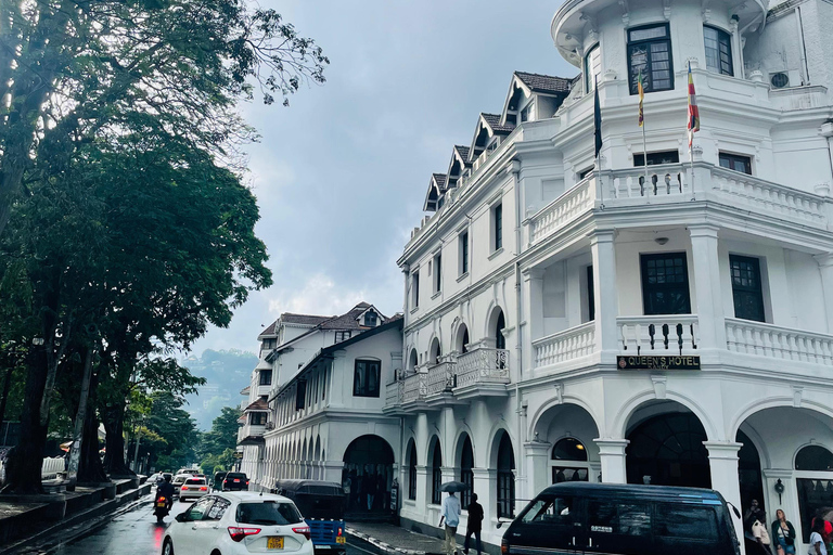 سريلانكا: جولة إرشادية لمدة 10 أيام مع جولة مخصصةSri Lanka: 10-Day Guided Tour with Customized tour