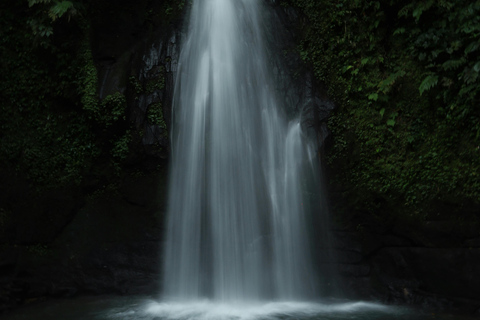 Ubud, Monkey forest, Riceterace Waterfall, Purification Ubud Tour Include Enterance Tickets