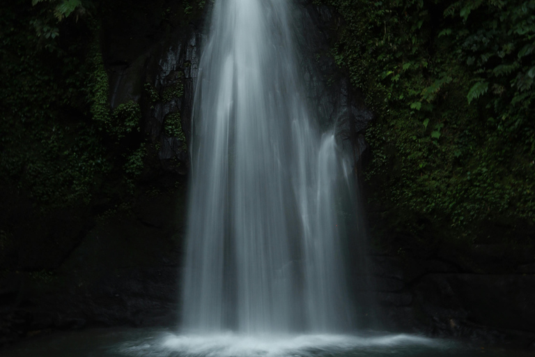 Ubud, Monkey forest, Riceterace Waterfall, Purification Ubud Tour Include Enterance Tickets