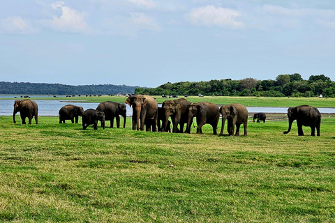 Sri Lanka : Ethical Safari Tour - Voyageur Quiet Safari