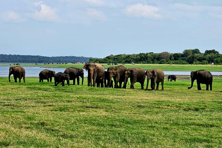 Sri Lanka : Ethical Safari Tour - Voyageur Quiet Safari