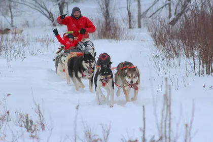 Mont-Tremblant: Abenteuer Hundeschlittenfahrt im Tal