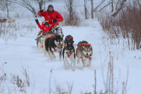 Mont-Tremblant: Dogsledding Valley Adventure