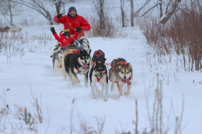 Mont-Tremblant: Dogsledding Valley Adventure