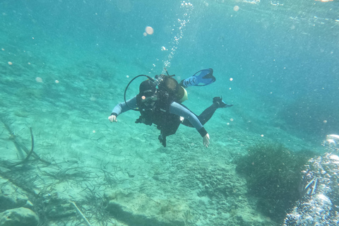 Paphos: Entdecken Sie das Tauchen mit Abholung