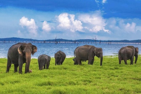 From Anuradhapura To Sigiriya Transfer with Sightseeing Stop
