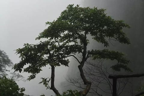 Shanghai: Sanqingshan & Xiaoyao Valley 2-Day Private Tour
