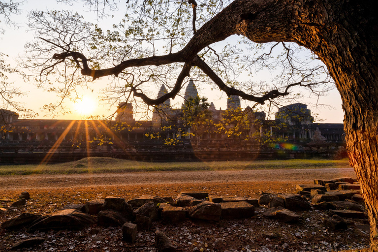 Angkor Wat Highlights and Sunrise Guided Tour from Siem Reap