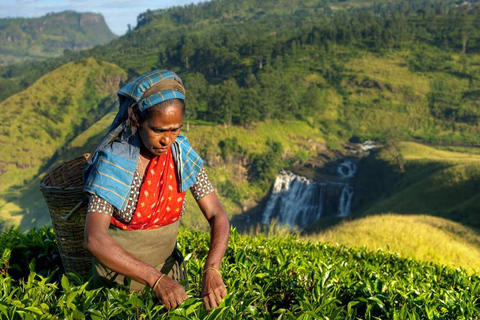 Kandy: Shanthipura en Nuwara Eliya