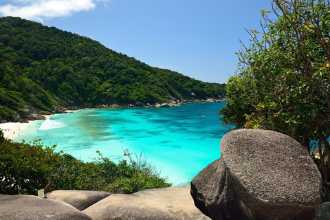 Phuket Excursión de un día a la isla Similan en catamarán de lujo y lancha rápida