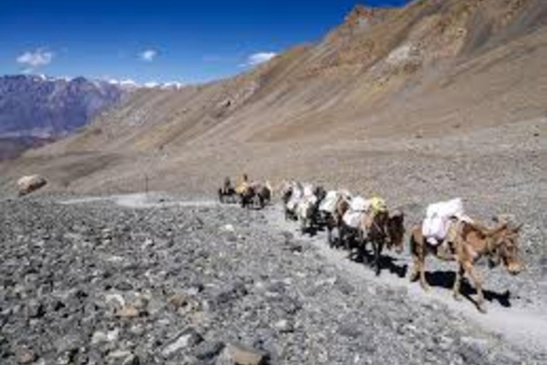 Katmandu: 14-Day Annapurna Circuit Trek via Thorang La Pass