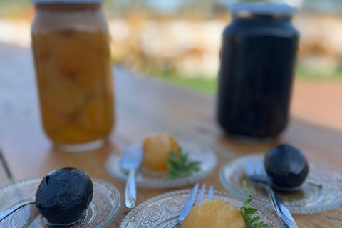 Chipre: Aulas de culinária na Taberna Fournisto com almoço