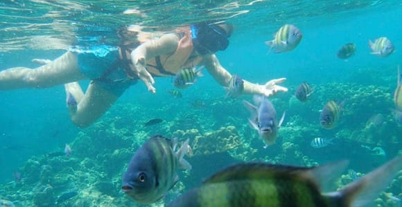 Langkawi: Snorkeling Trip , Fish Feeding & Fishing Activity