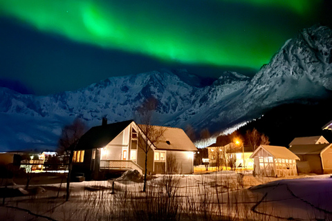 From Tromsø: Discover Senja Island with Local Guide From Tromsø: Privately Discover Senja with Local Guide