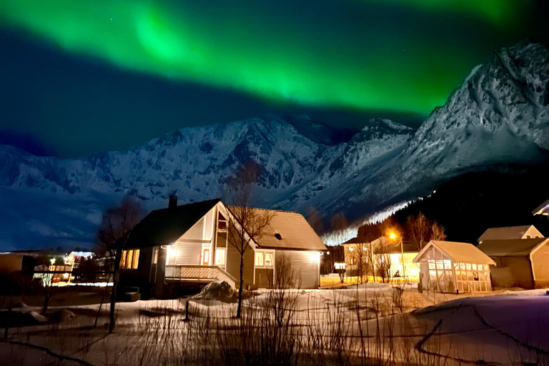 From Tromsø: Discover Senja Island with Local Guide From Tromsø: Privately Discover Senja with Local Guide