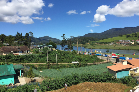 Tour di 4 giorni di Kandy e Nuwara Eliya con tè e paesaggi collinari in Sri Lanka