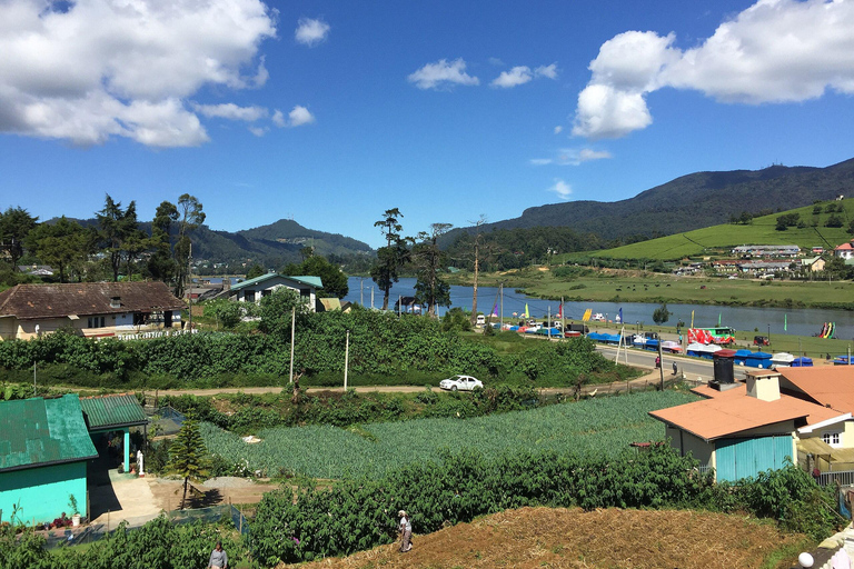 Sri Lanka - Circuit de 4 jours à Kandy et Nuwara Eliya, dans la région du thé et des collines