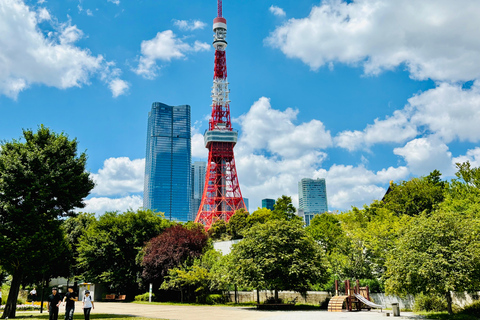 Tokyo: Private Half-Day Tour by Car with Local Guide Premium Van 6 pax
