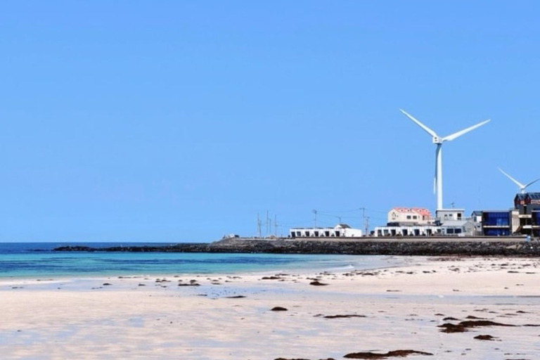 Jeju: UNESCO East Coast Small Group Tour with Hotel pickup