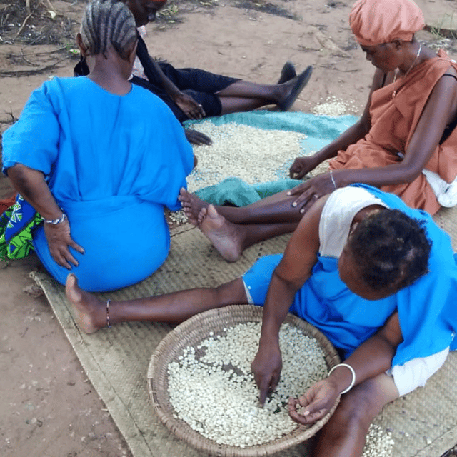 Mombasa: Cultural Village and Kongowea Market Tour | GetYourGuide