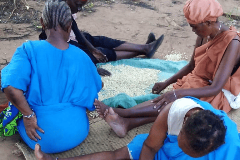 Mombasa: Visita a la Aldea Cultural y al Mercado de Kongowea