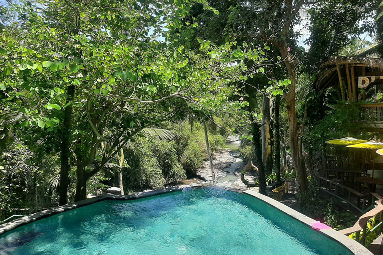 Ubud: Foresta di scimmie, terrazze di riso e cascateUbud: Foresta di scimmie, terrazza di riso e cascata