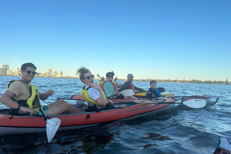 珀斯：天鹅河皮划艇之旅，搭配葡萄酒与奶酪